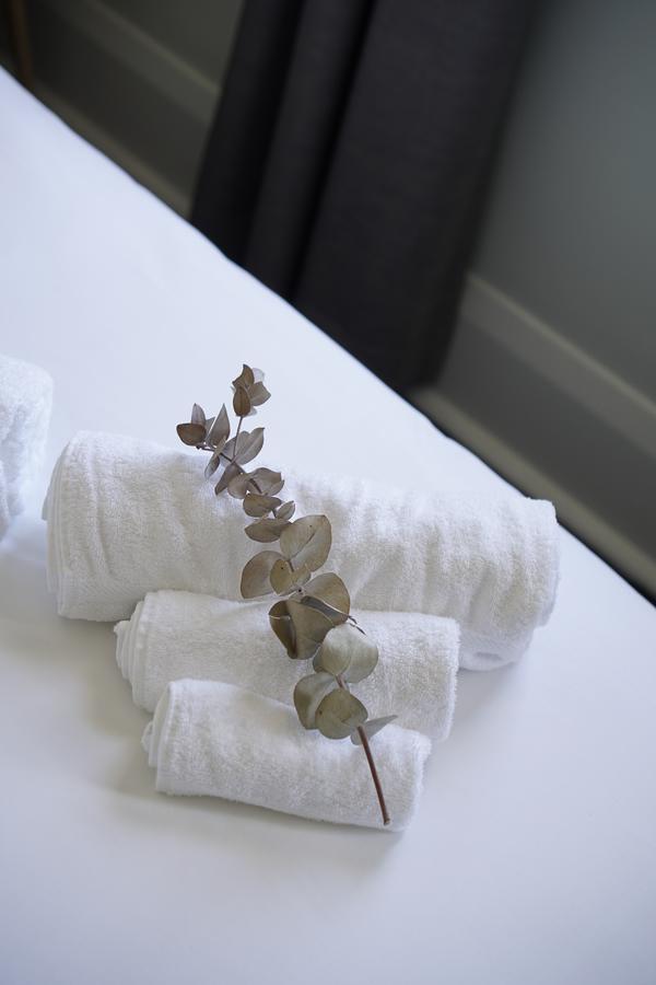 Rosehill Hotel Σίδνεϊ Εξωτερικό φωτογραφία